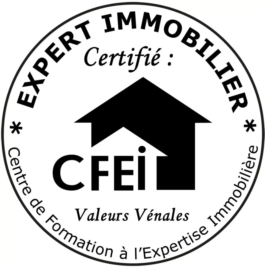 CFEI-logo